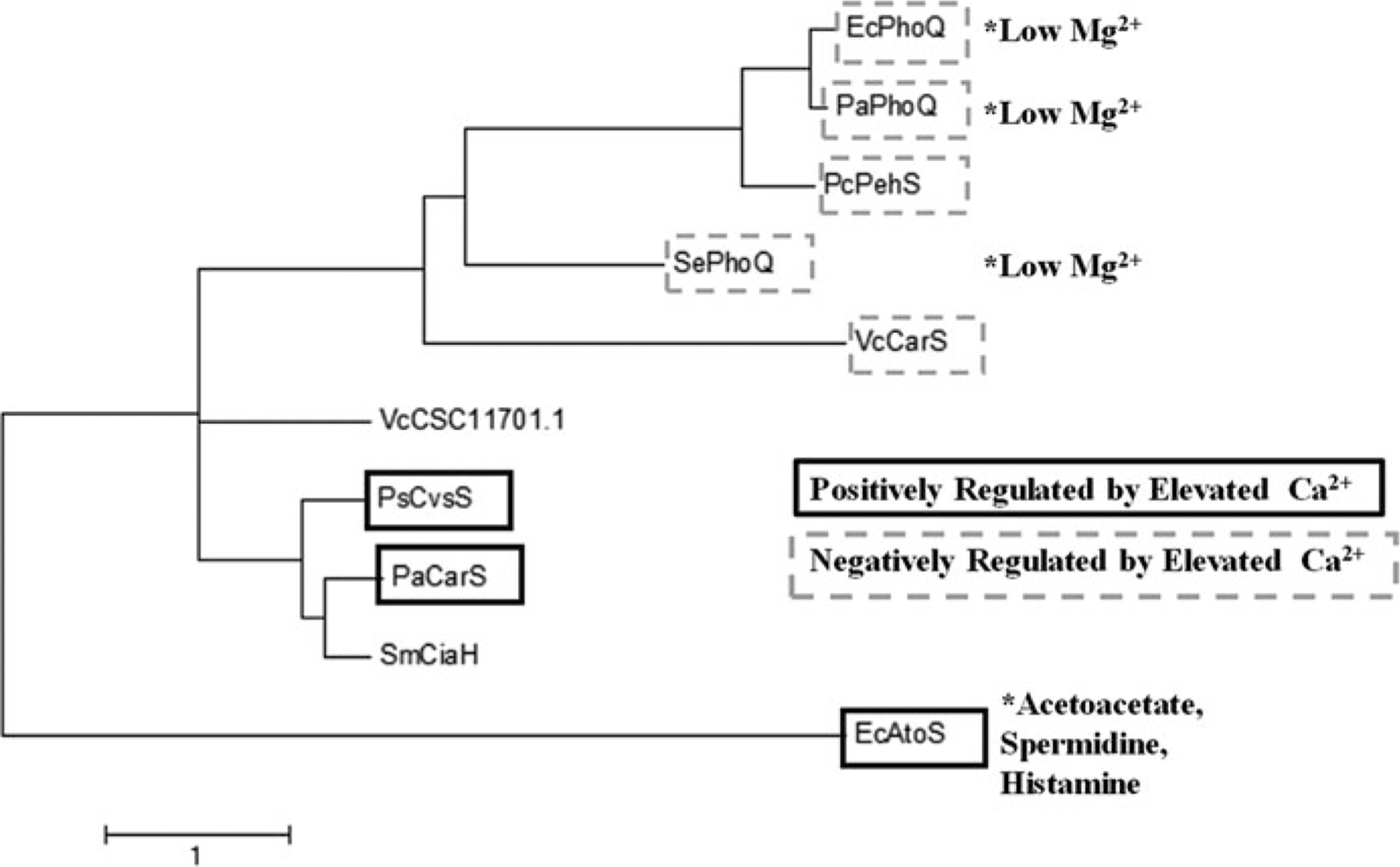 Fig. 33.1