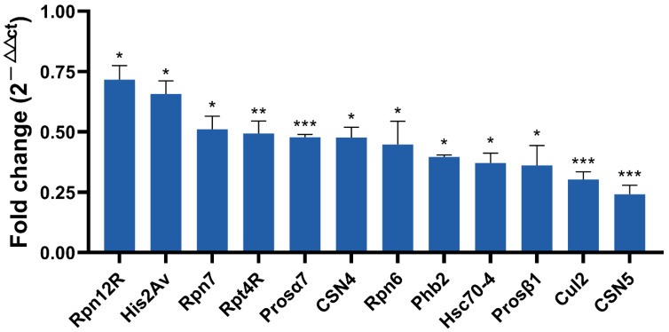 Figure 7