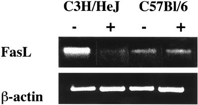 FIG. 9