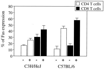 FIG. 8