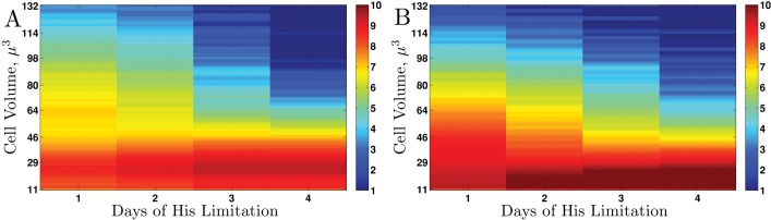 FIGURE 3: