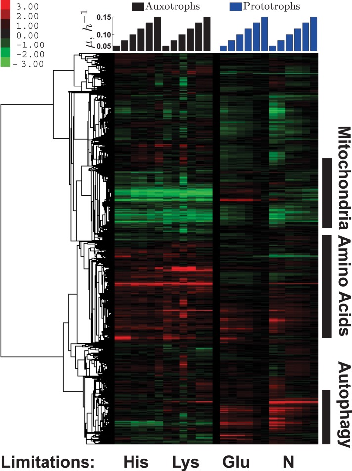 FIGURE 4: