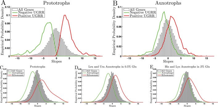 FIGURE 5: