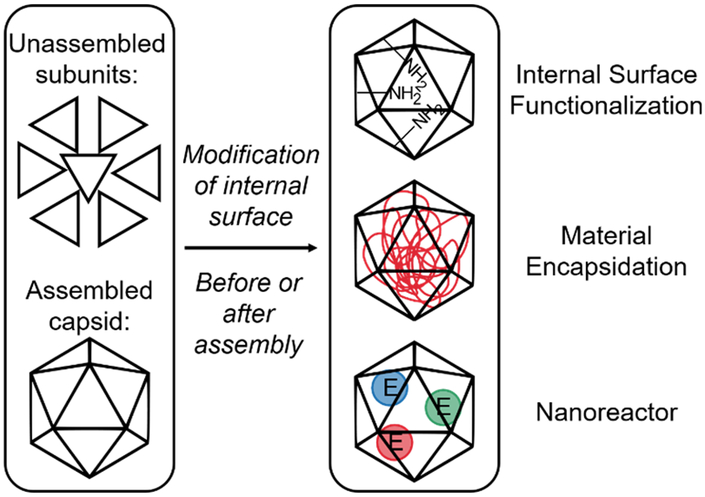 Figure 4: