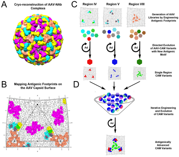 Figure 7: