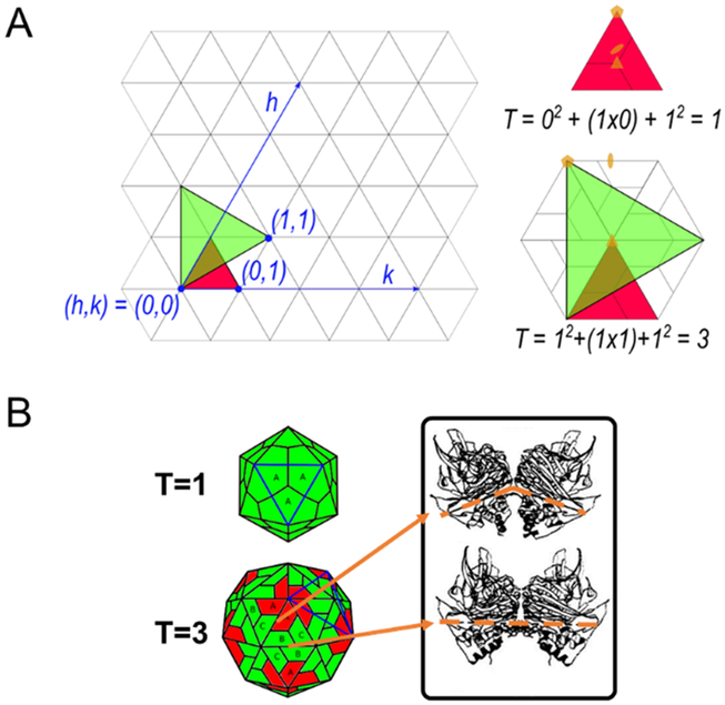 Figure 1: