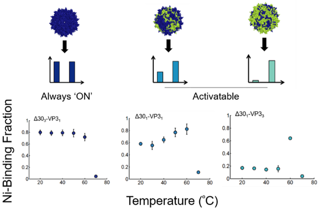 Figure 6: