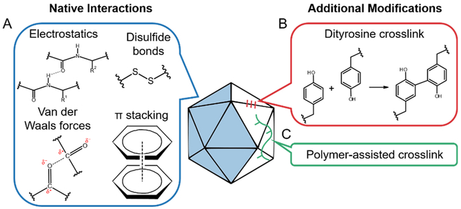 Figure 5: