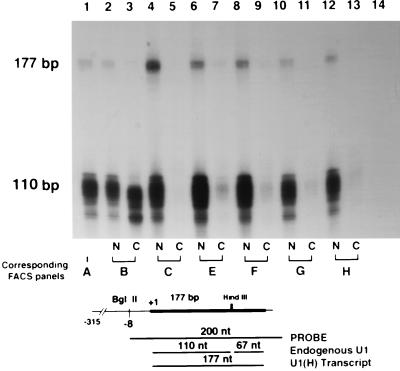 FIG. 8