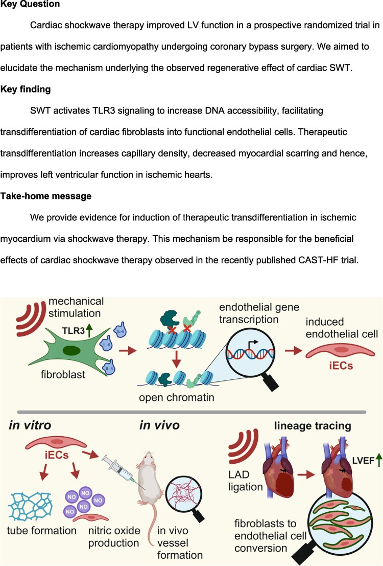 structured graphical abstract