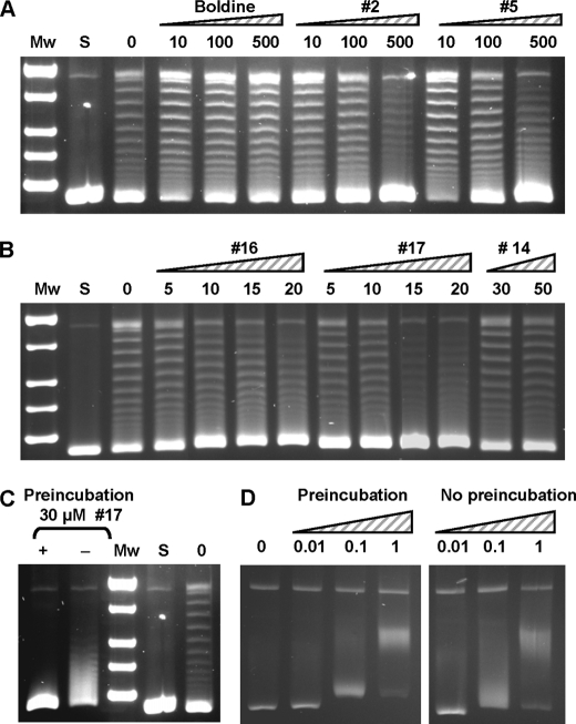 FIGURE 4.