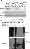Fig. S7.