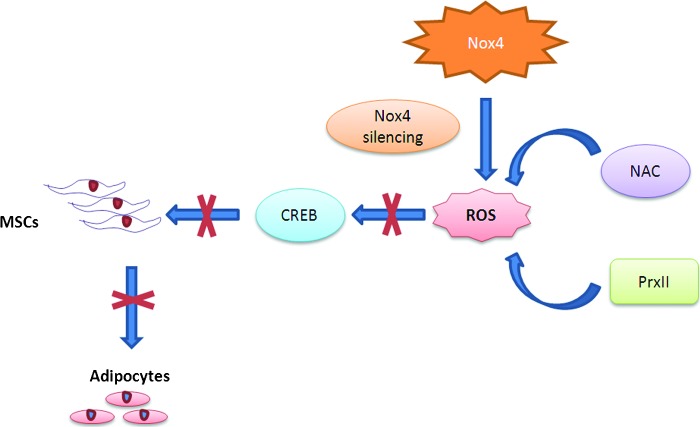 FIG. 4.