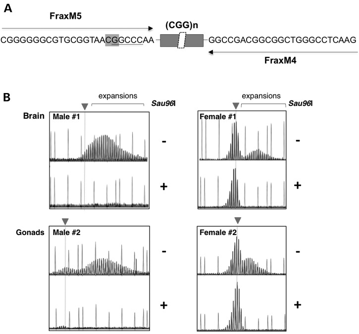 Figure 3.