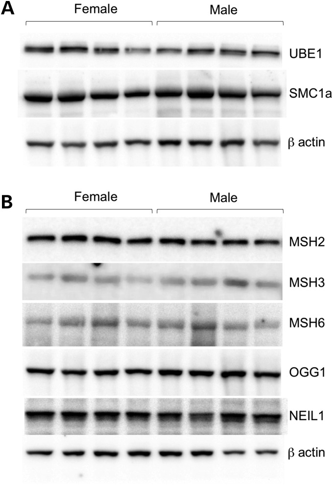 Figure 6.