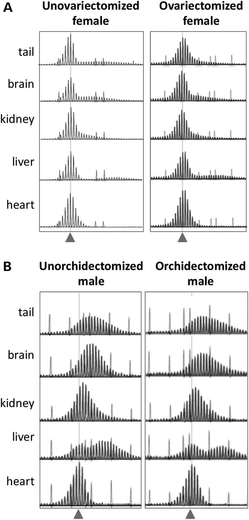 Figure 5.