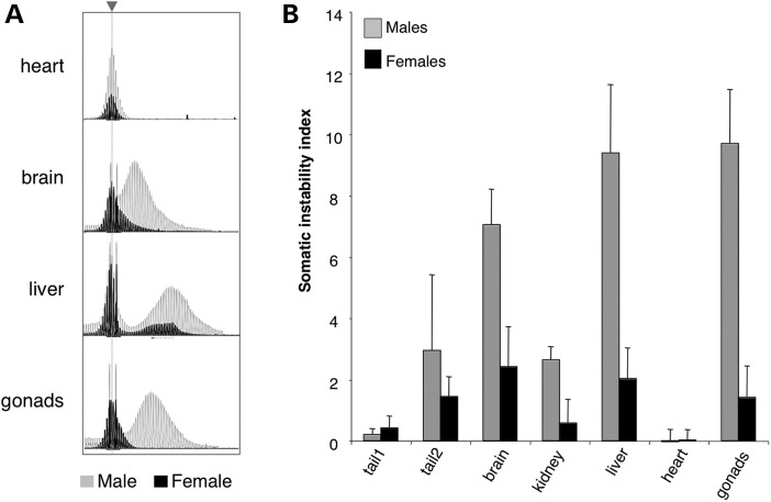 Figure 2.