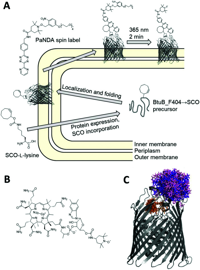 Fig. 1