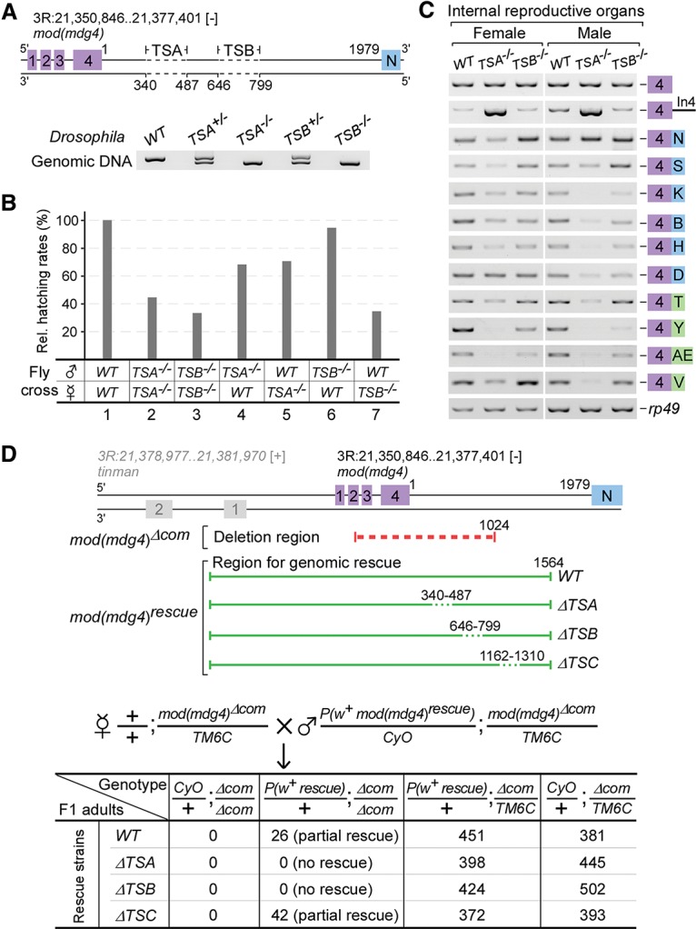 Figure 4.