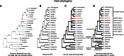 F<sc>ig</sc>. 3.