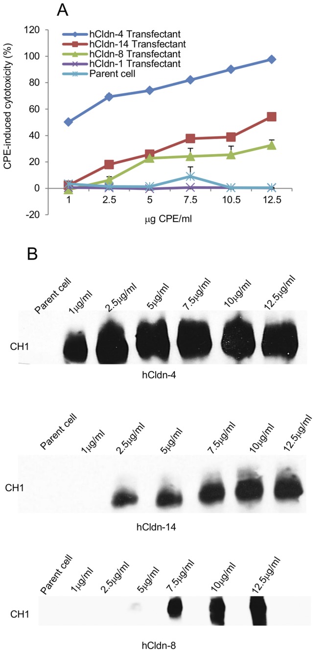 FIG 3 