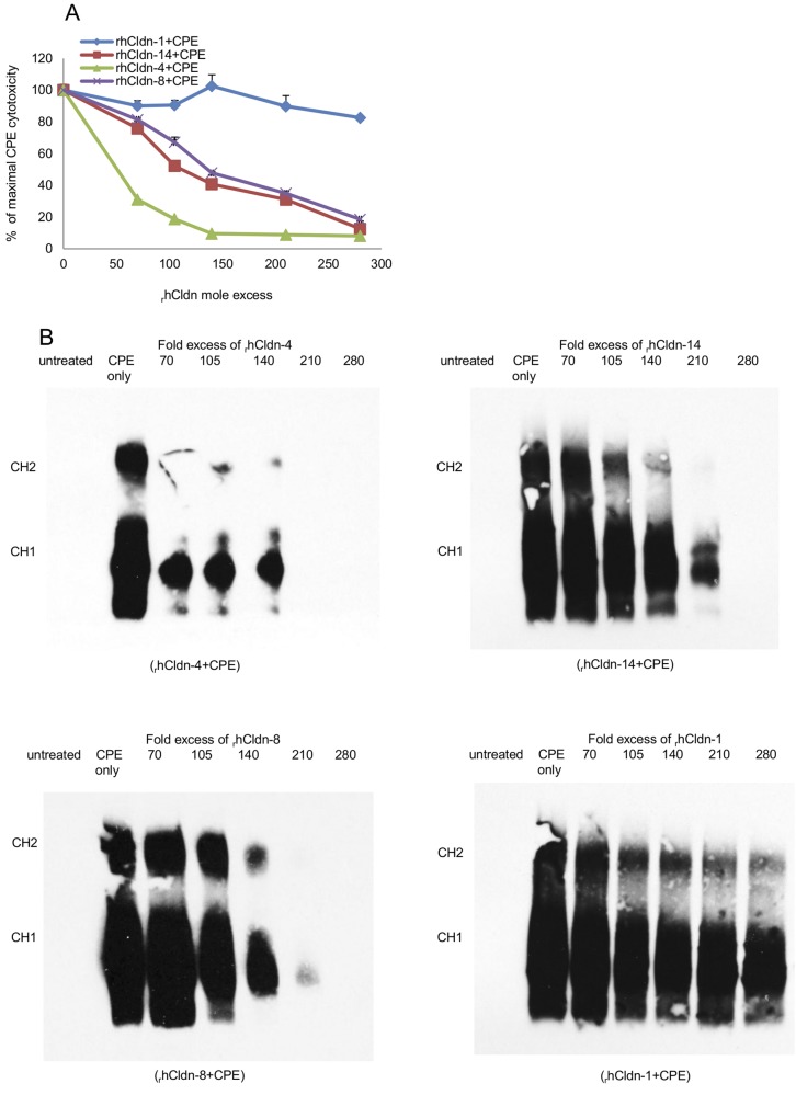 FIG 1 