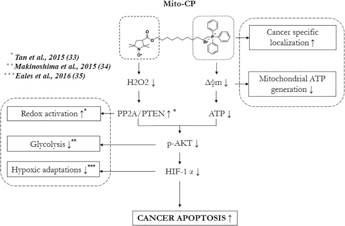 Fig 7