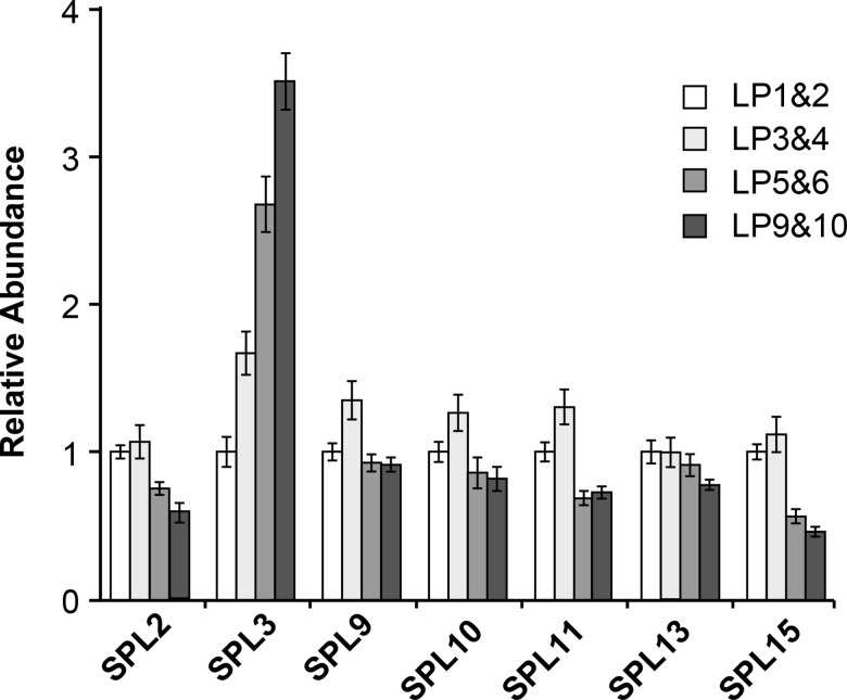 Fig 8