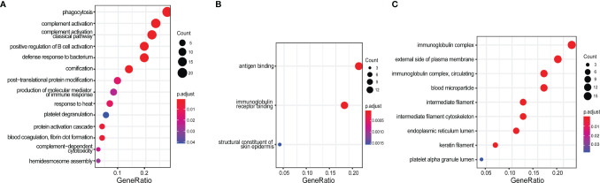 Figure 2