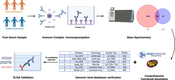 Figure 1