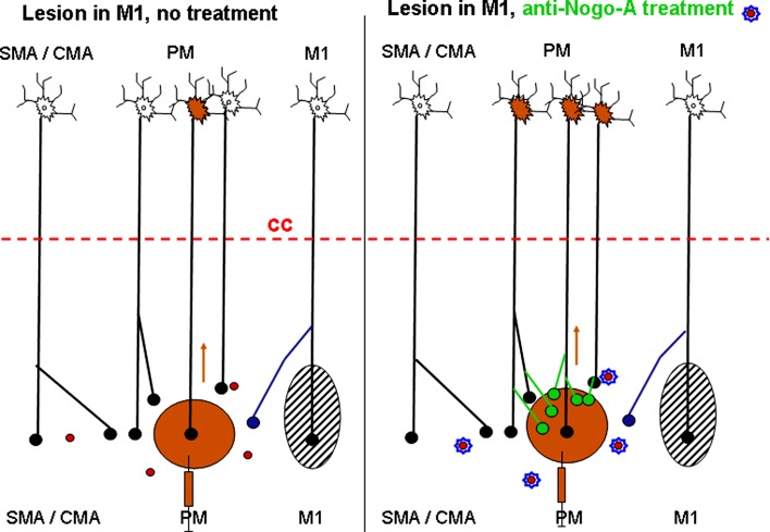 Fig. 7