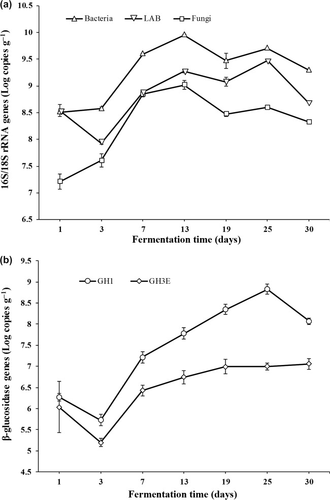 FIG 3