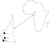 Fig. 1