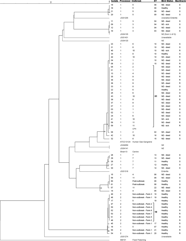 FIG. 1.