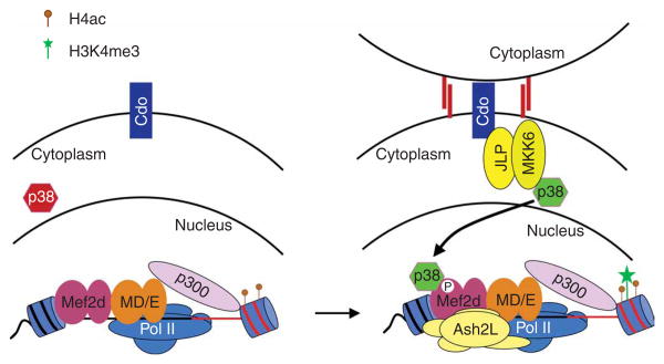 Figure 7