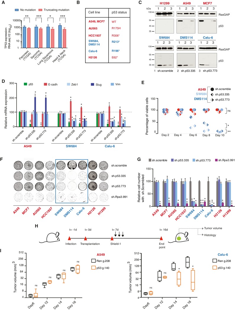 graphic file with name elife-25532-fig1.jpg