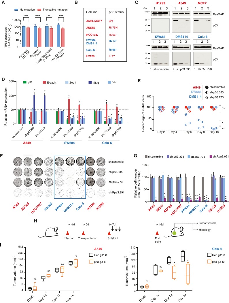 graphic file with name elife-25532-fig2.jpg