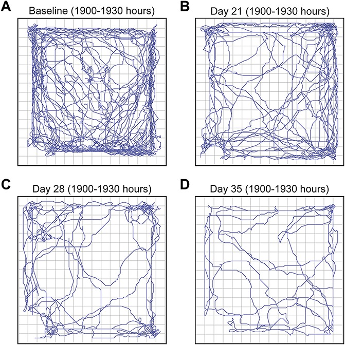 Figure 3.