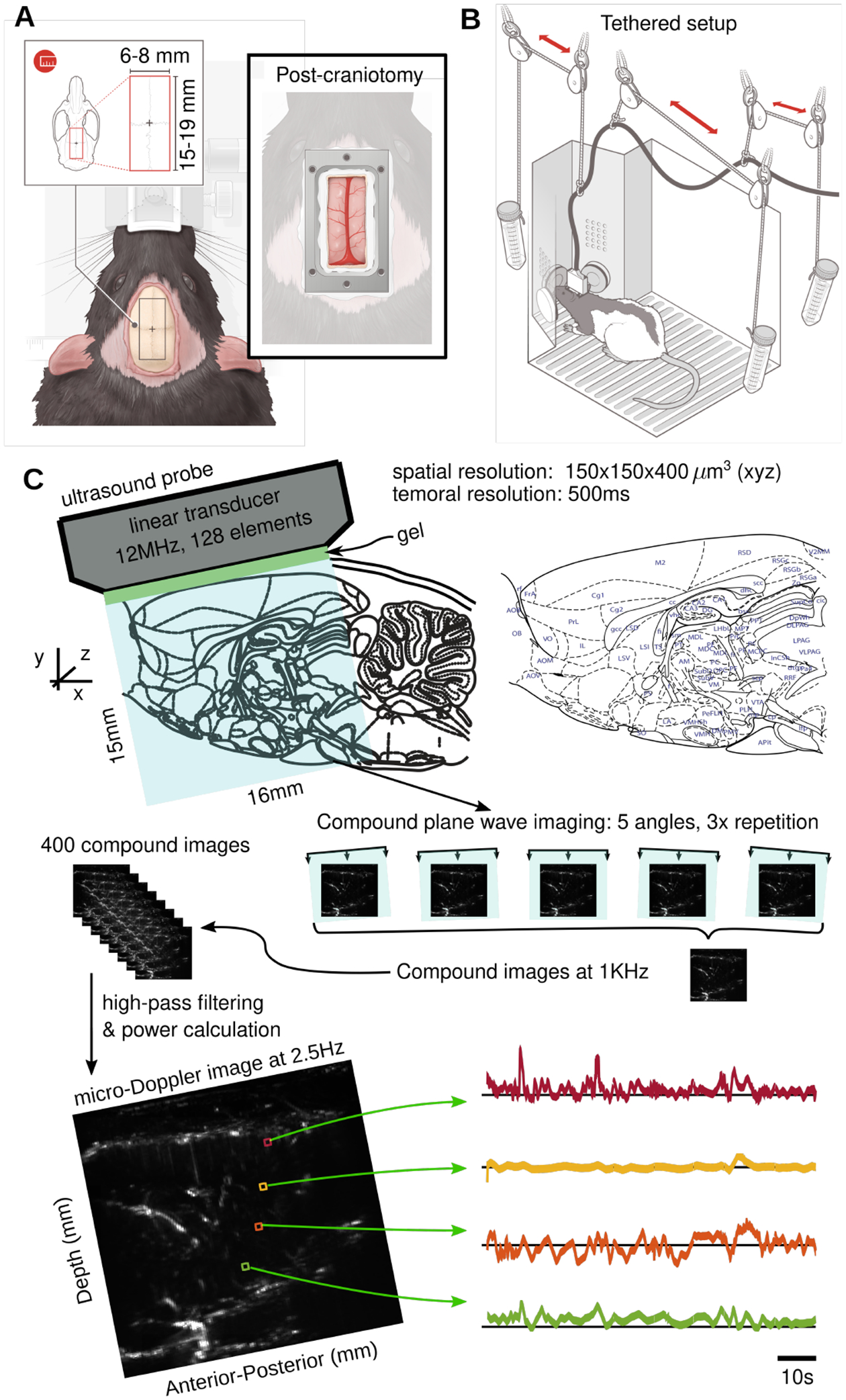 Figure 1: