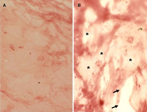 Fig. 8