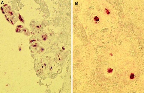 Fig. 7