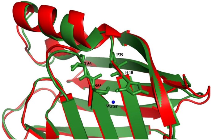 Fig 6