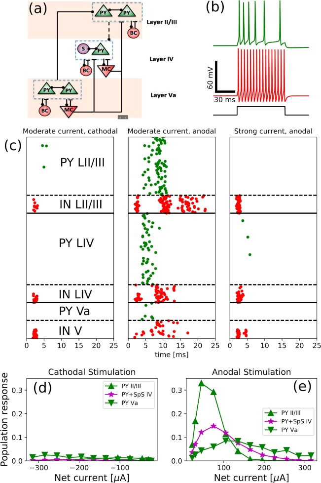 Fig 6