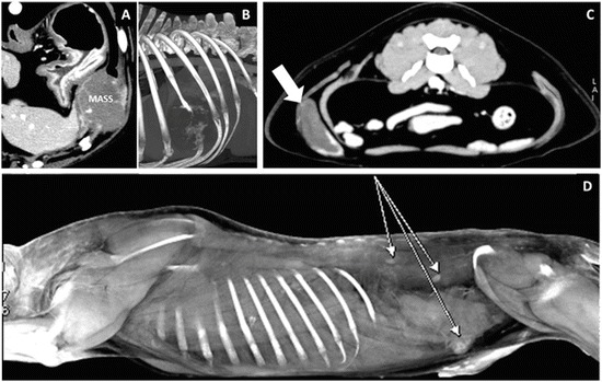 Fig. 21