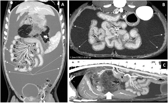 Fig. 9