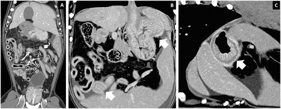 Fig. 8