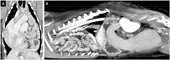 Fig. 30