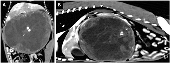 Fig. 24