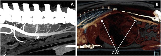 Fig. 25