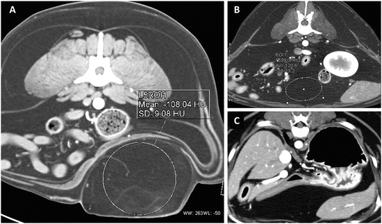 Fig. 22
